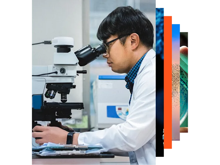 Path Pimer 종합적인 병리학 커리큘럼 | PATHPrimer | 엘스비어