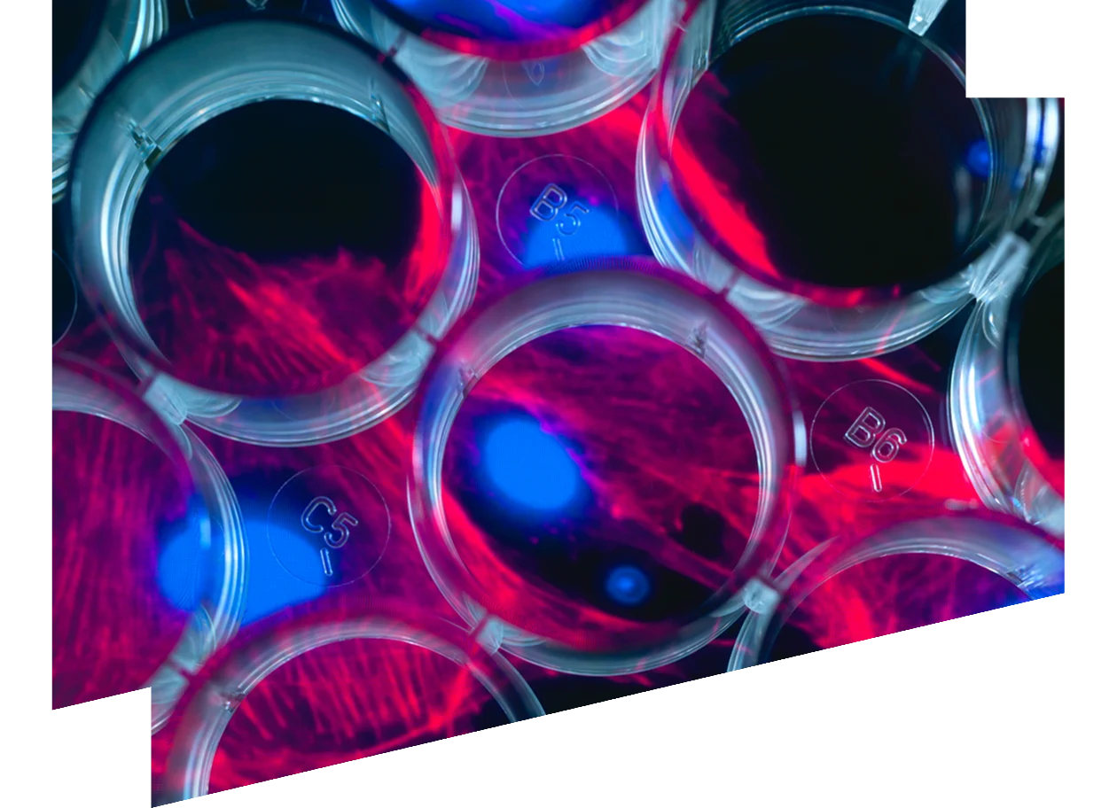 Multi well plate with screen image of stem cells in the background