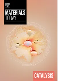 mt catalysis cover