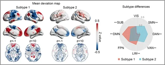 Brain imaging maps and a functional deviation