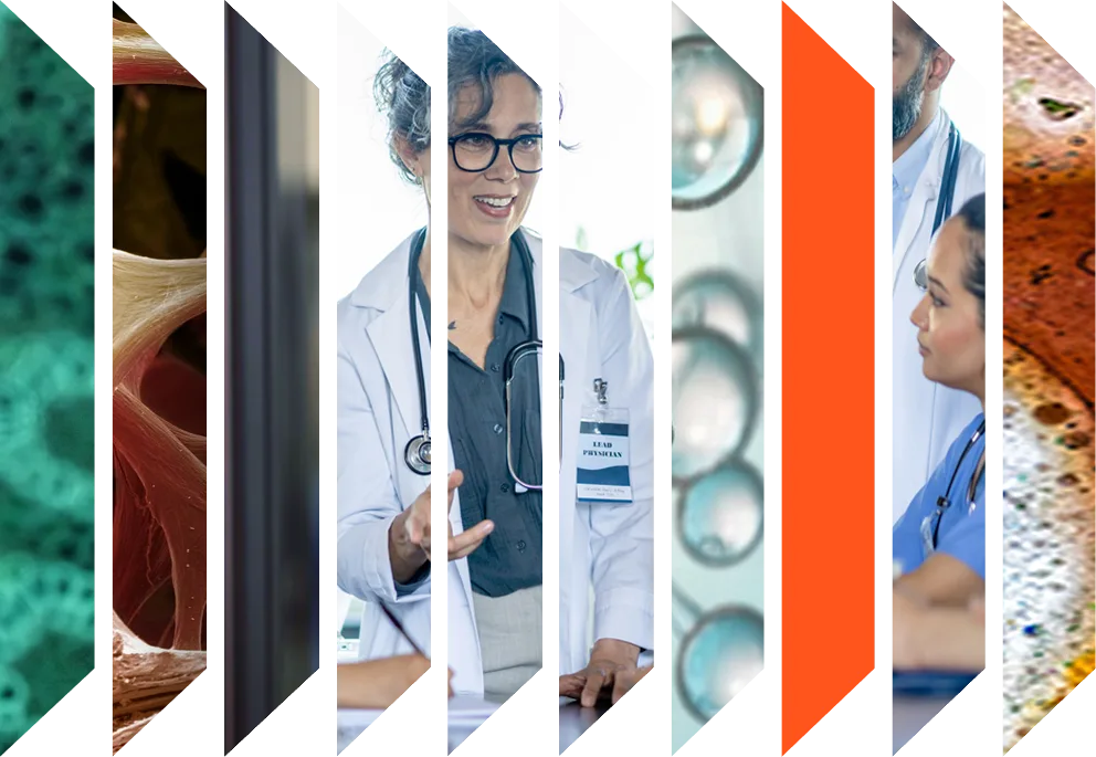 Colourful accordeon of  clinician and health images