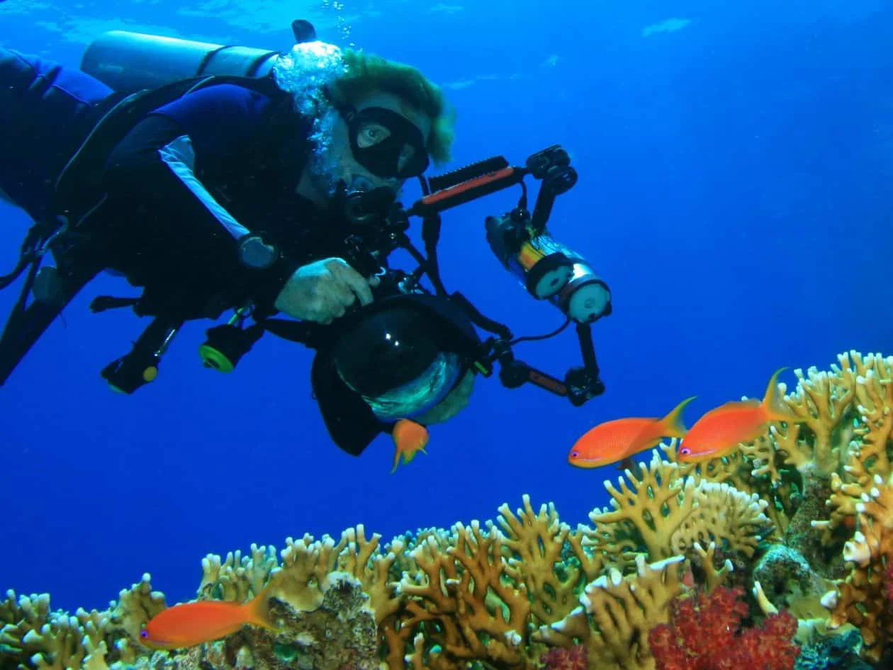 水下海洋生物学家摄影师拍摄鱼类和珊瑚礁照片