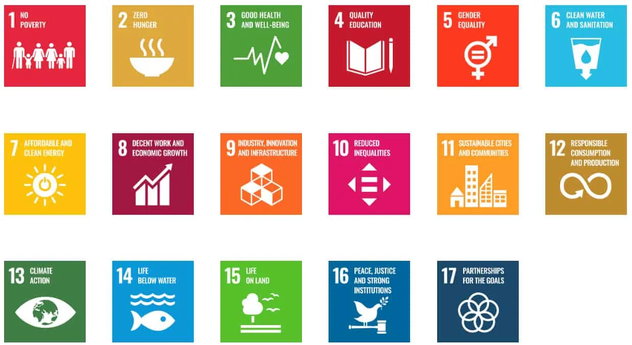 The UN defined 17 individual SDGs