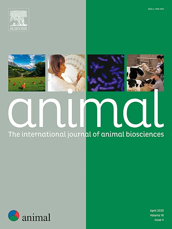 animal cover