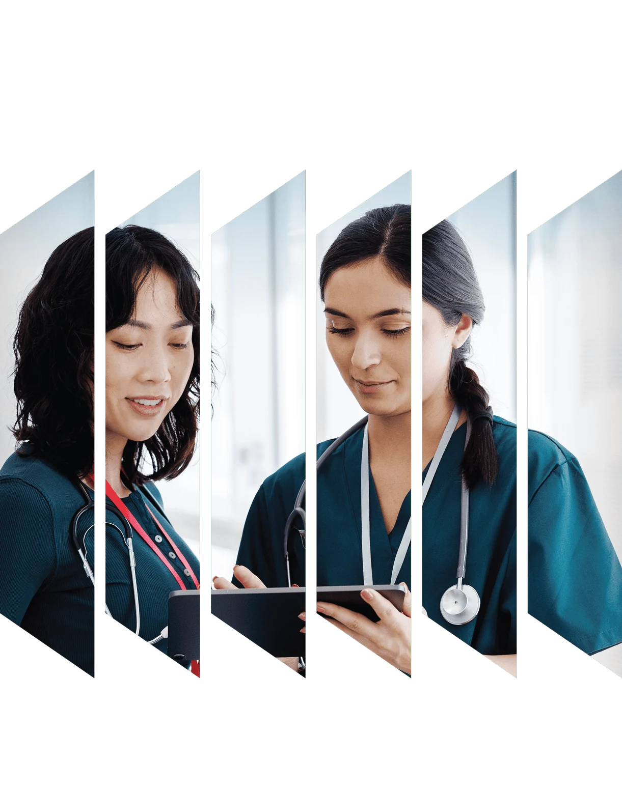 RN Nursing Editions catalog