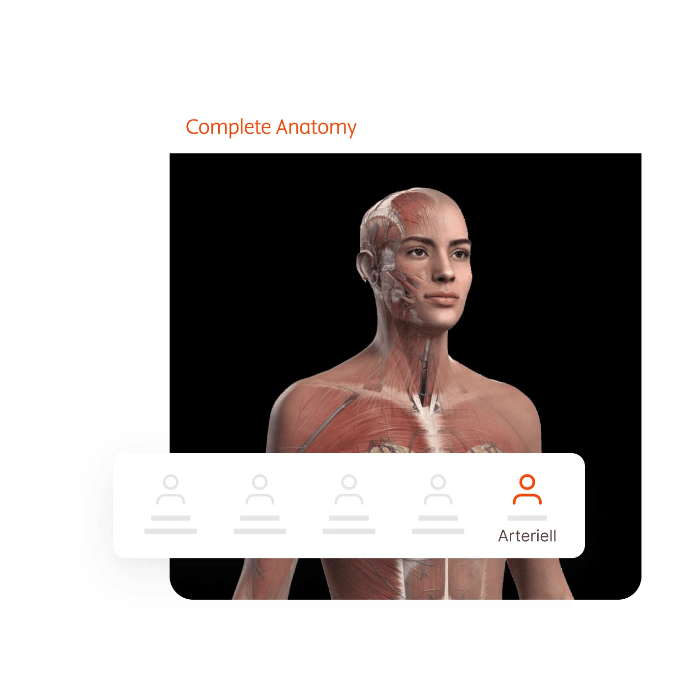 complete anatomy female anatomy model