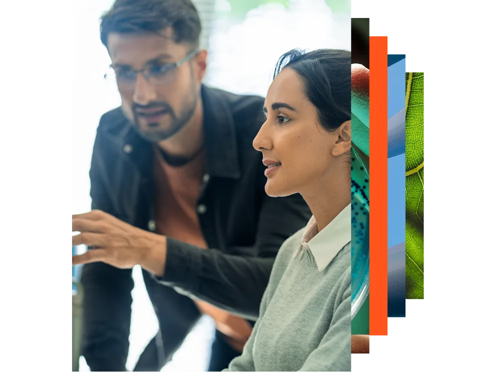 Two colleagues talking 