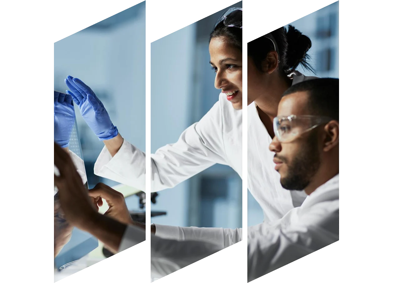 Scientists looking at a computer screen together in a modern laboratory