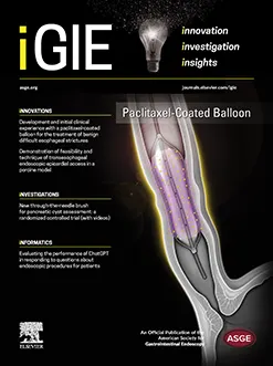 Sample cover of iGIE