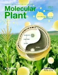 Cover image - Molecular Plant