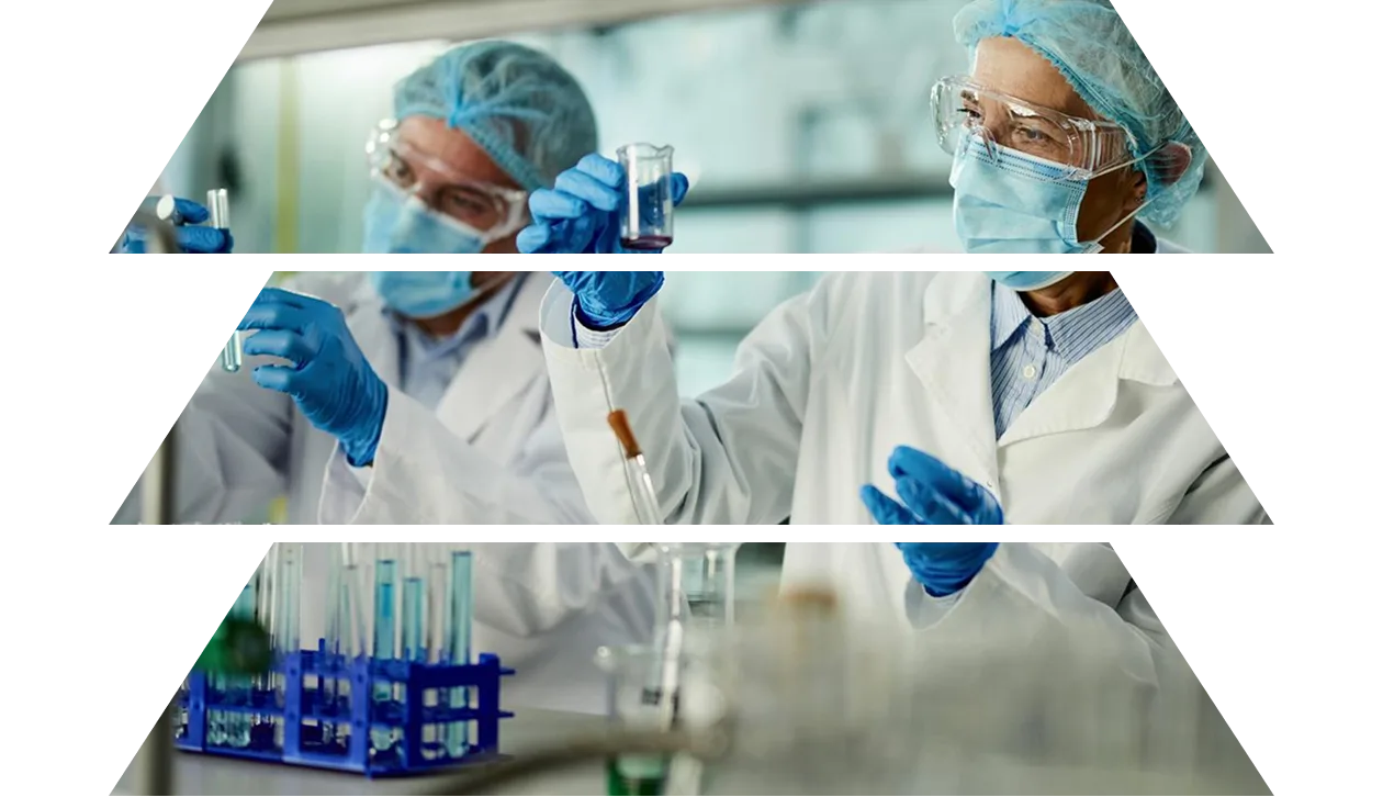 Team of scientists working on research in a laboratory