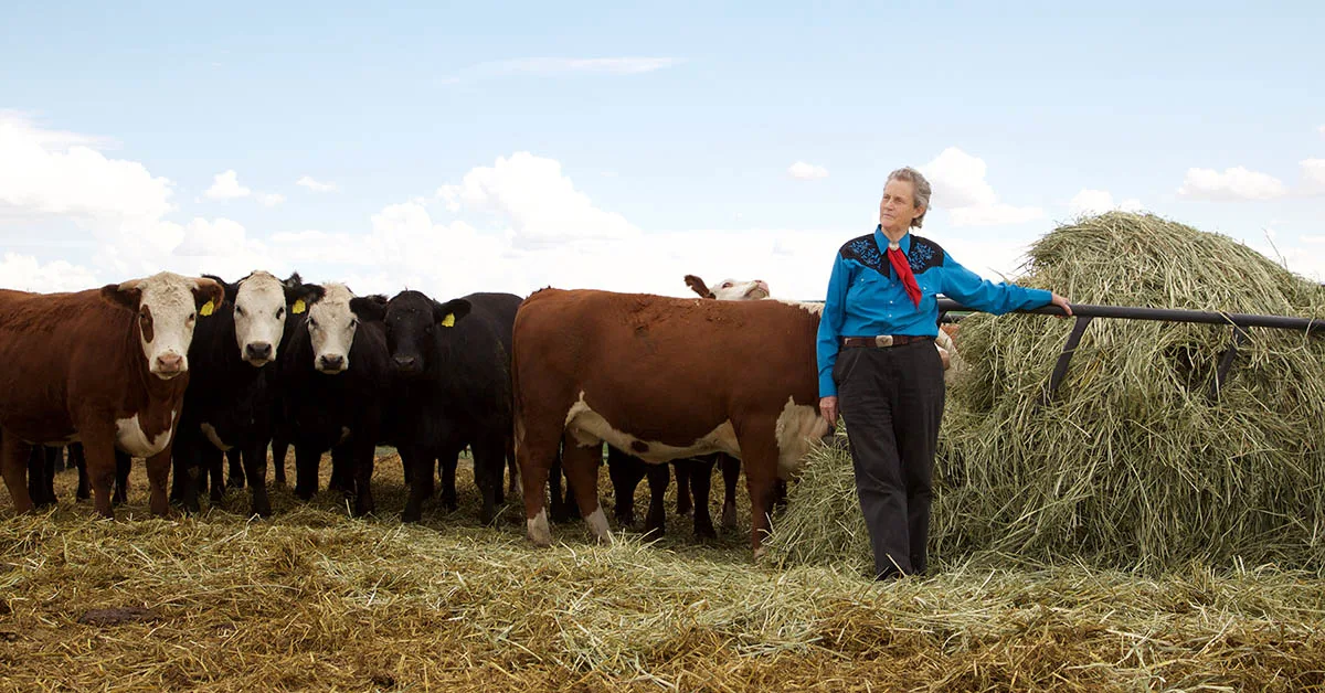 Temple Grandin with cows