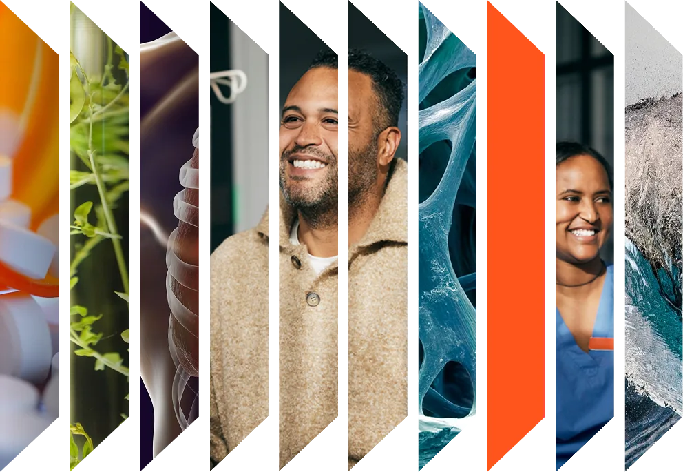 Colourful accordion of various health images