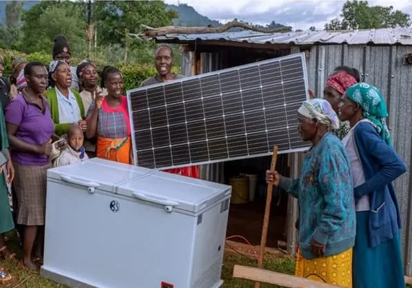 GreenBox - Congo