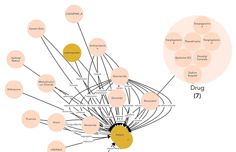 The knowledge graph of Friedreich's ataxia is a window into its connections, indications, genes, drugs and biological associations. This view explores drugs that increase the expression of frataxin, the most mentioned gene re FA across the literature.