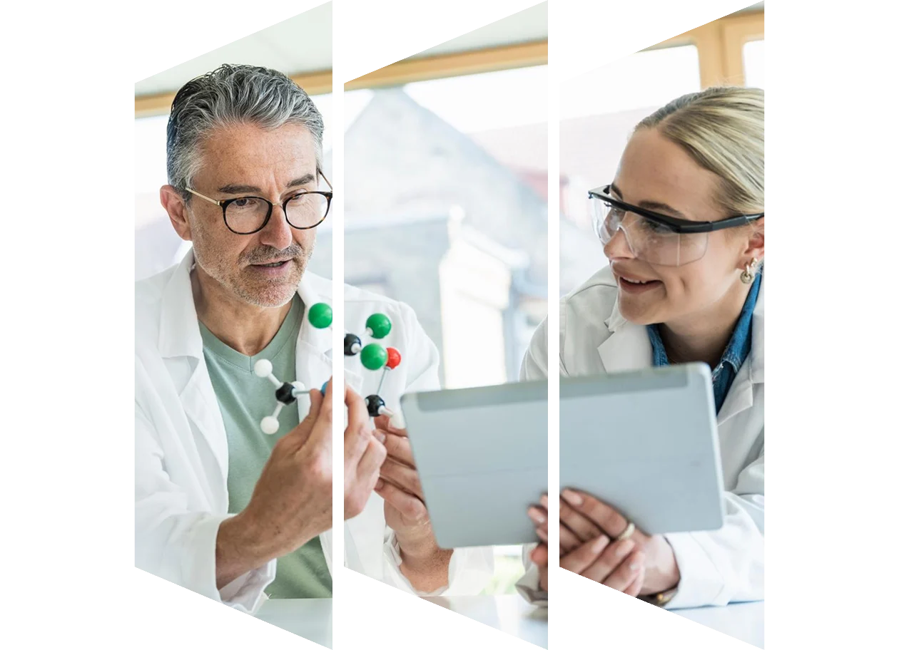 Chemists looking at a molecule model