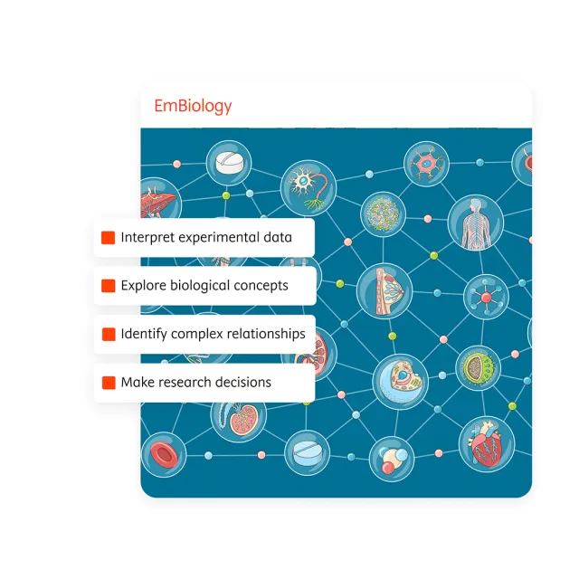 Exploring a global interpretation mechanism for deep learning