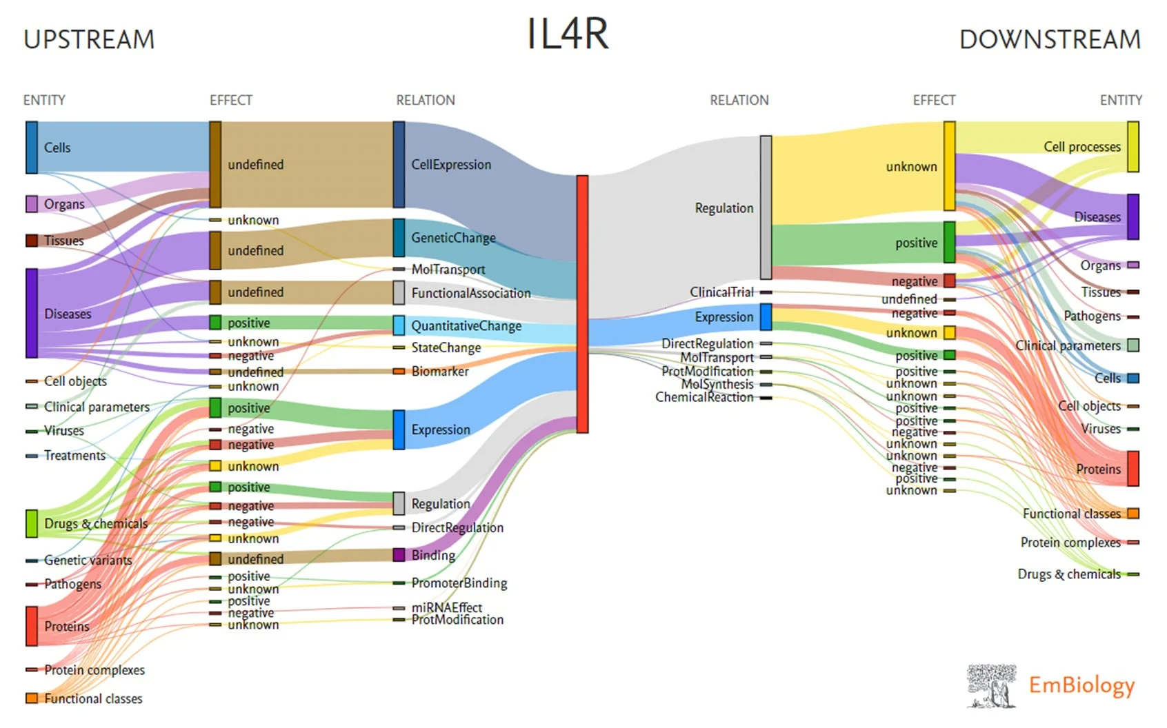 Upstream and downstream relationship, including IL4R
