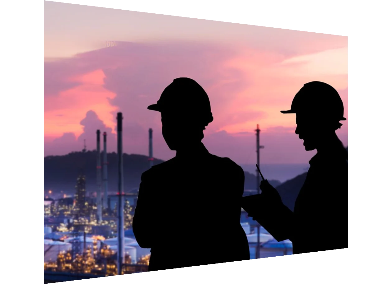 Engineers looking at the horizon