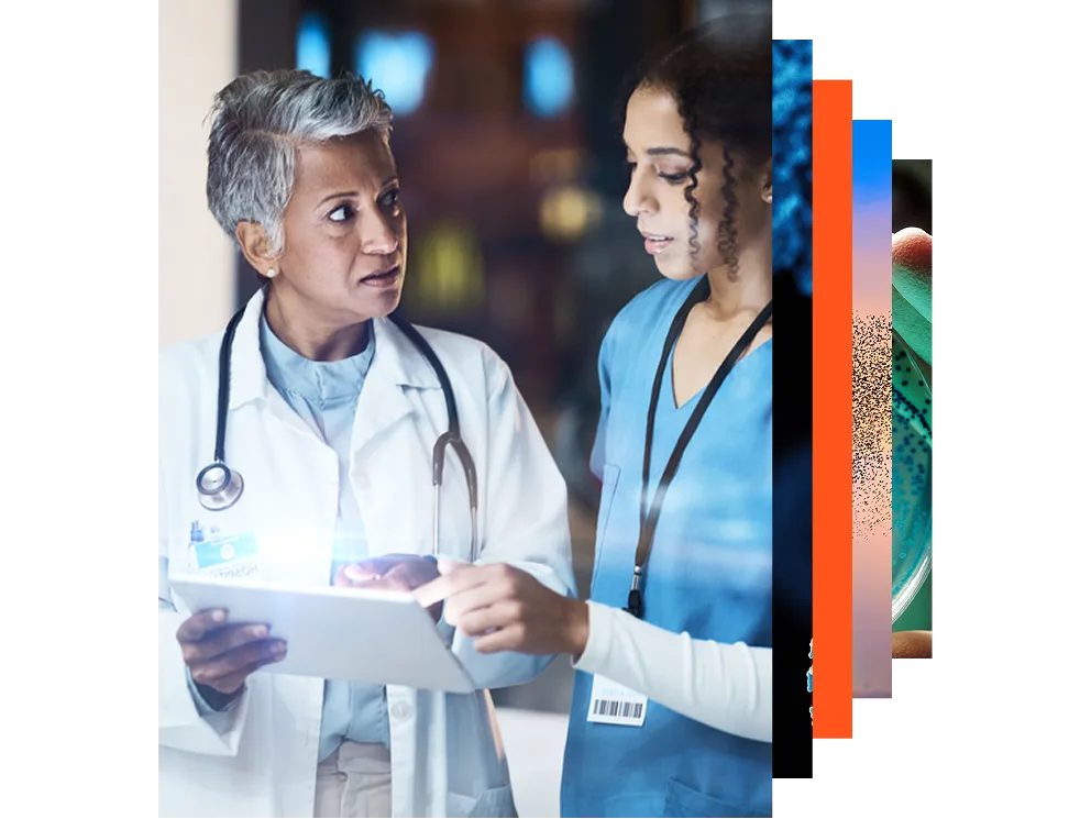 Female doctor using digital tablet in a hospital