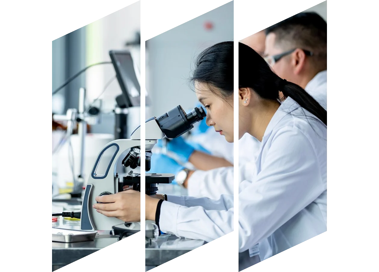 Scientists working together in a modern laboratory