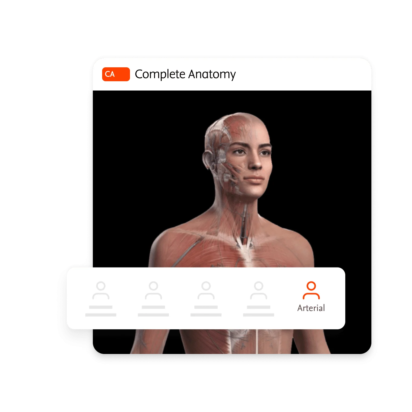 Complete Anatomy Human Anatomy 3D Model Header