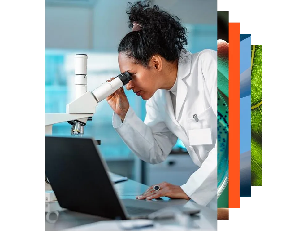 Two mature scientists working together in a lab