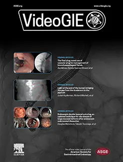 Sample cover of VideoGIE