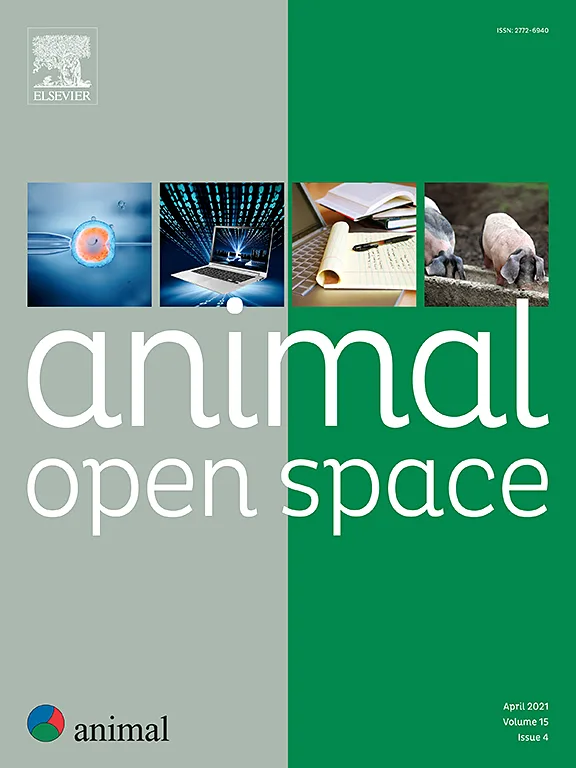 Animal - Open Space cover