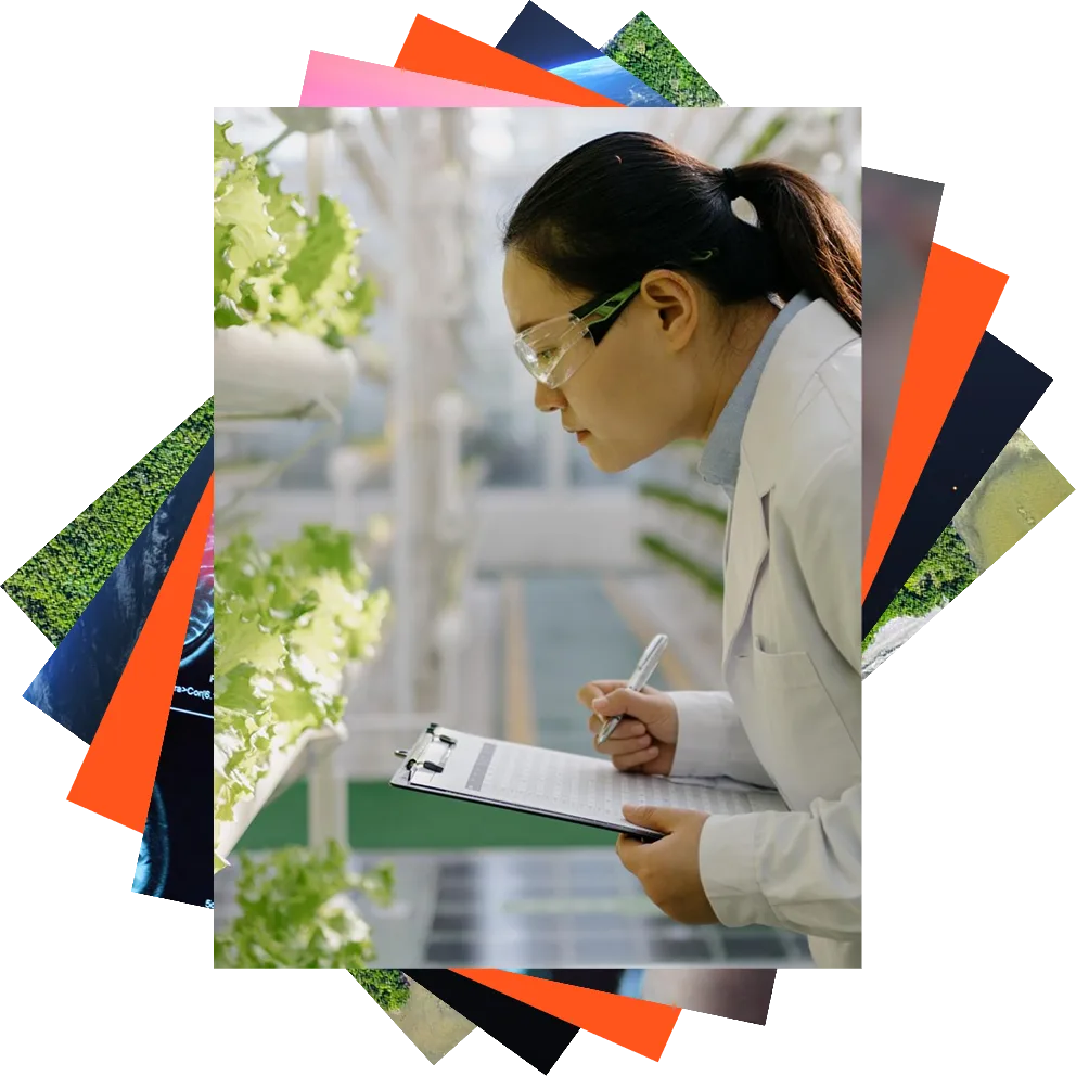 A woman in a lab coat and gloves holds a small green plant with a field of crops in the background.