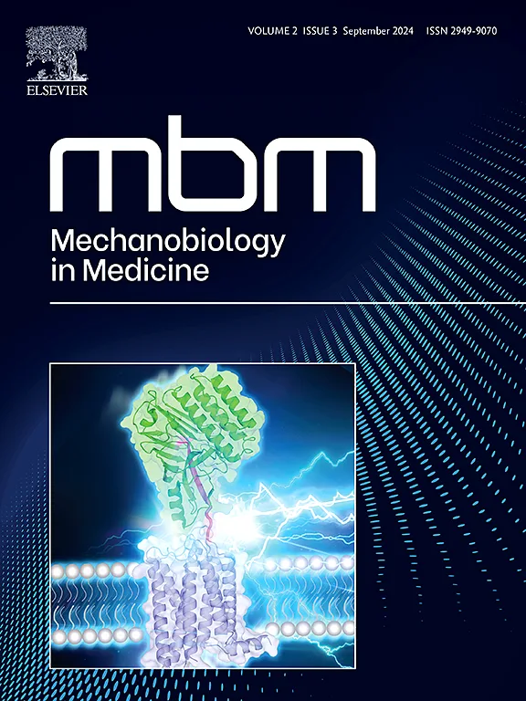 journal of mbm