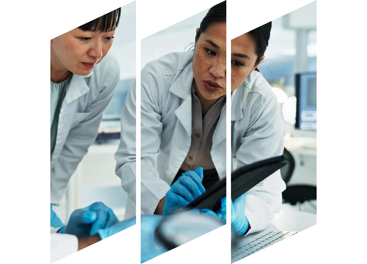 Expertise to capture scientific knowledge