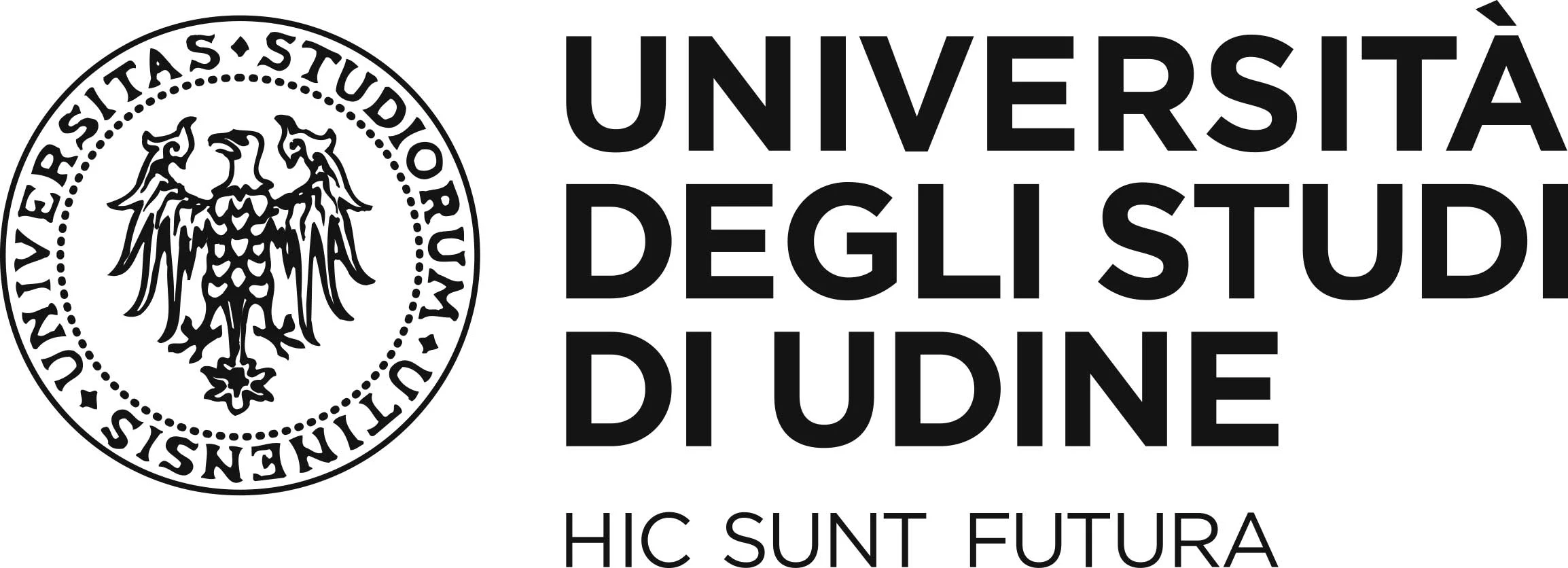 University of Udine