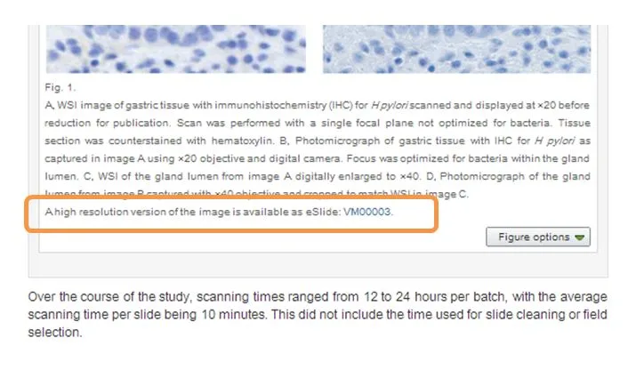 virtual microscope 