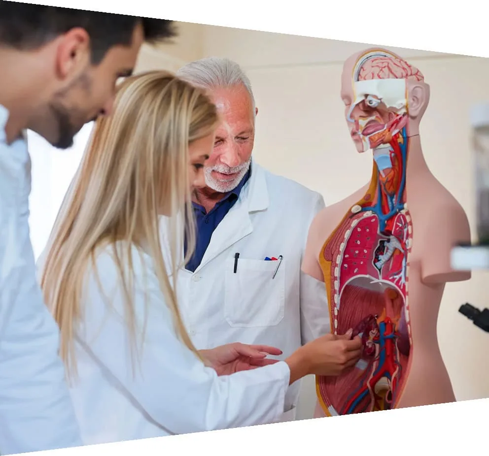 Gastroenterology and Hepatology catalog of journals image