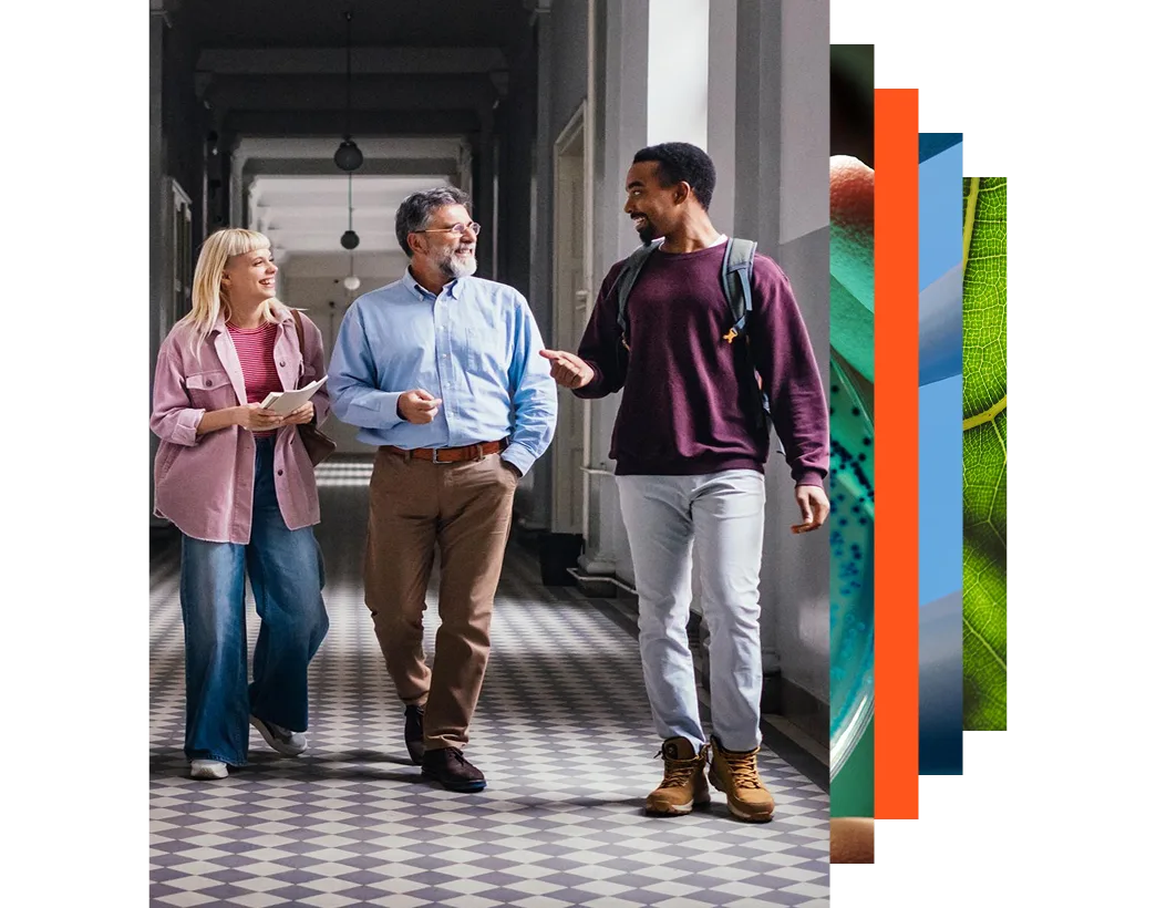 Diverse Group of Colleagues Walking and Talking to a Professor in Hallway
