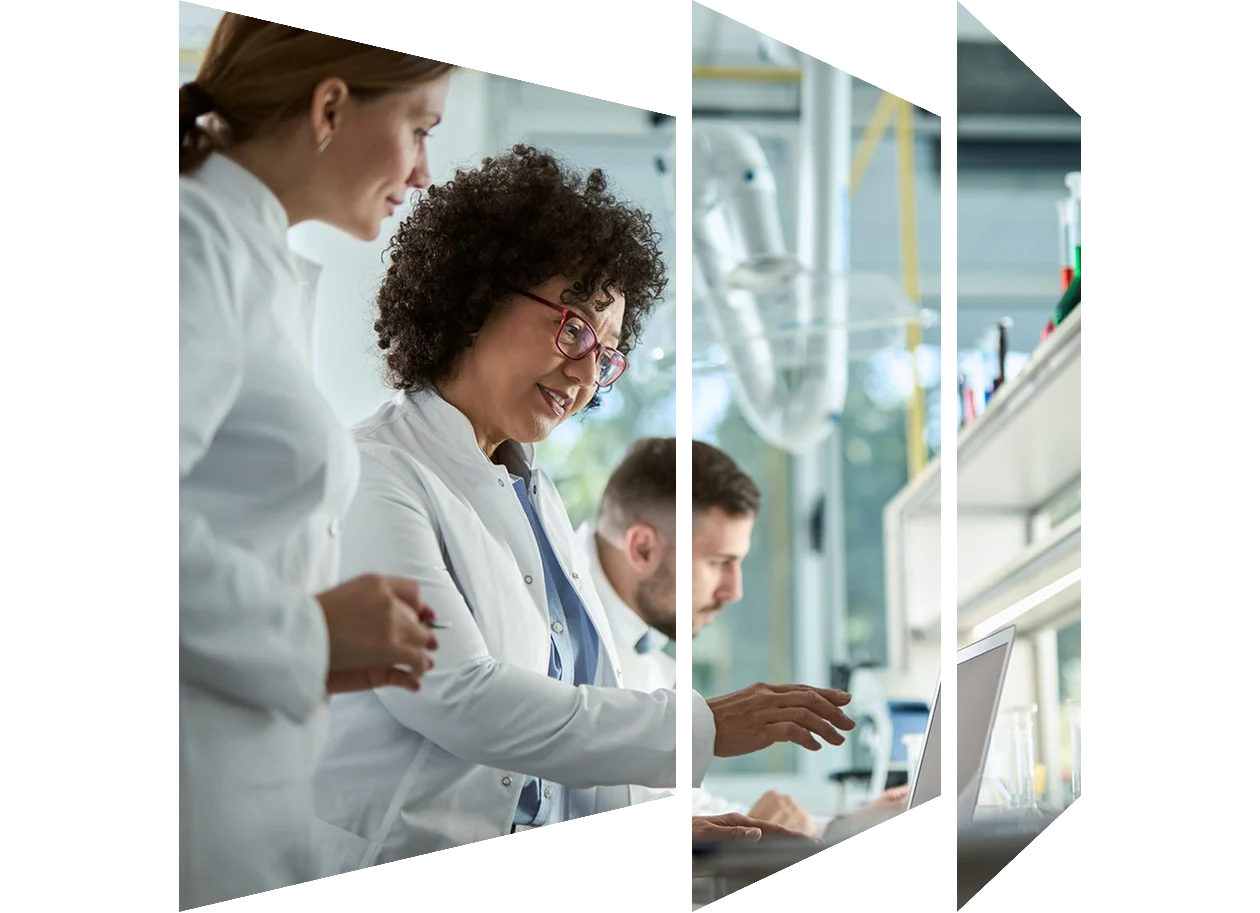 Female professional talking to colleague