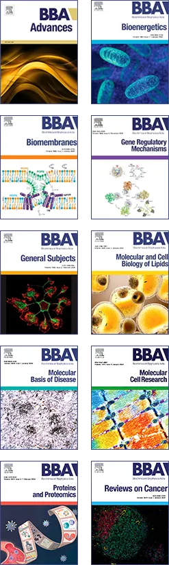 bba covers vertical