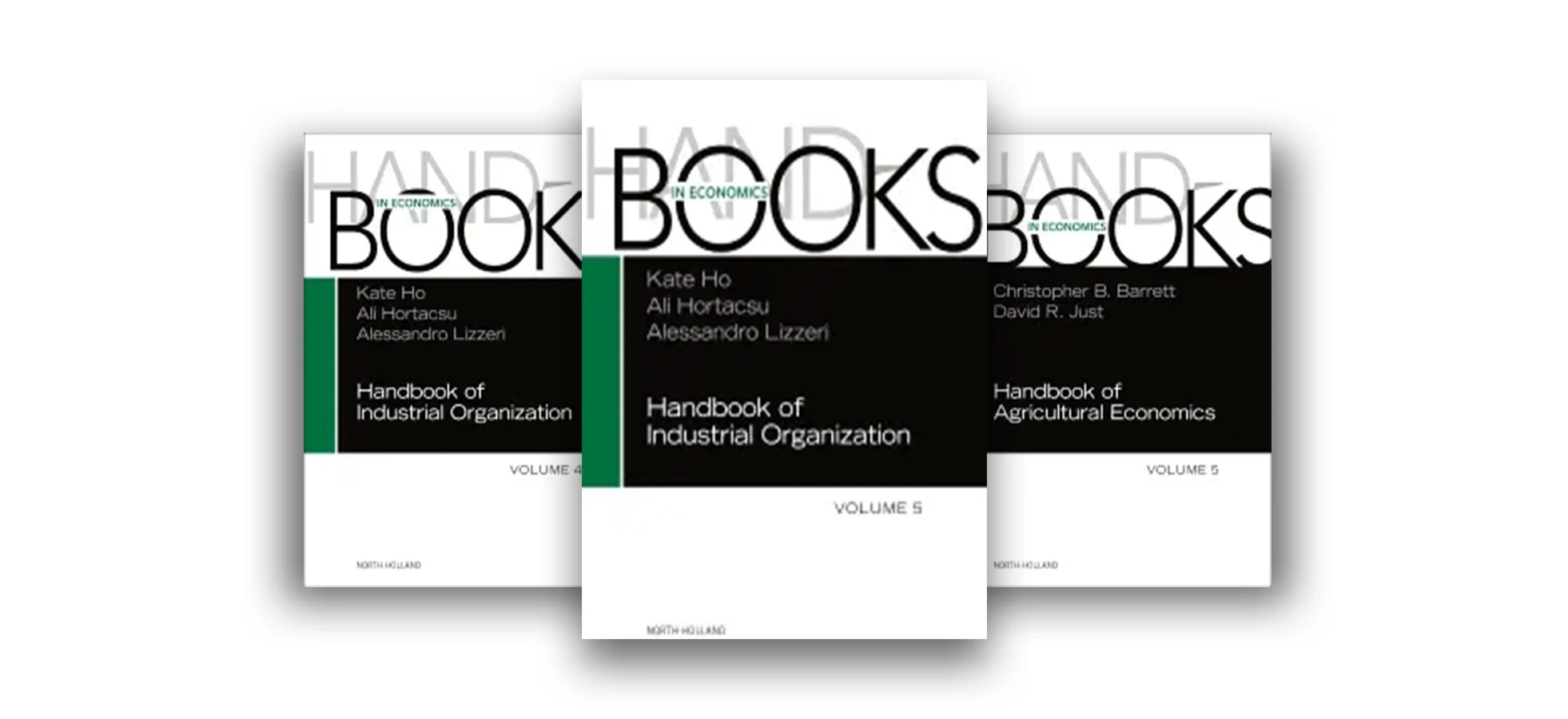 handbooks-in-economics-volume-banner