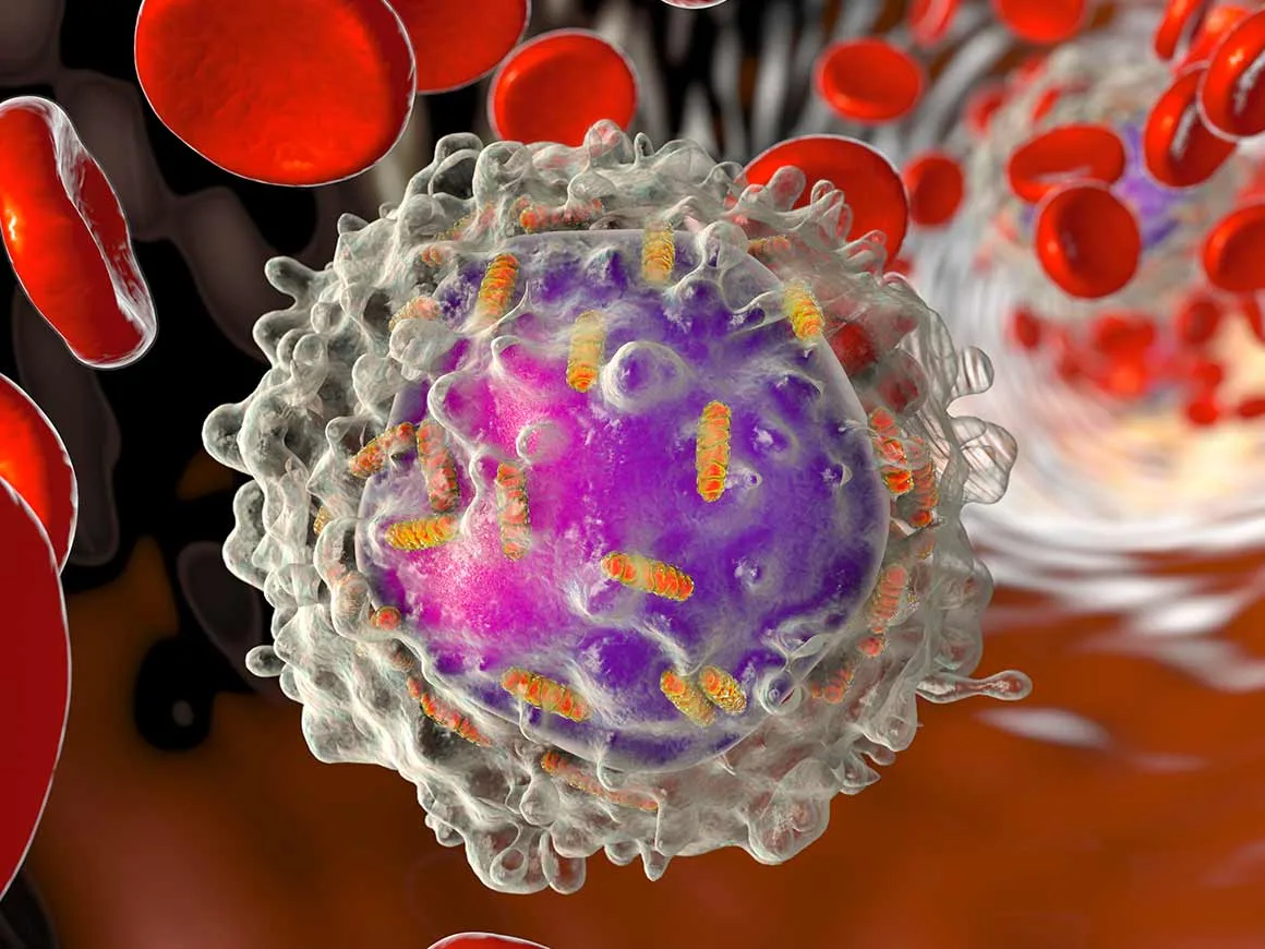 leukaemia white blood cell with mitochondria 3d illustration