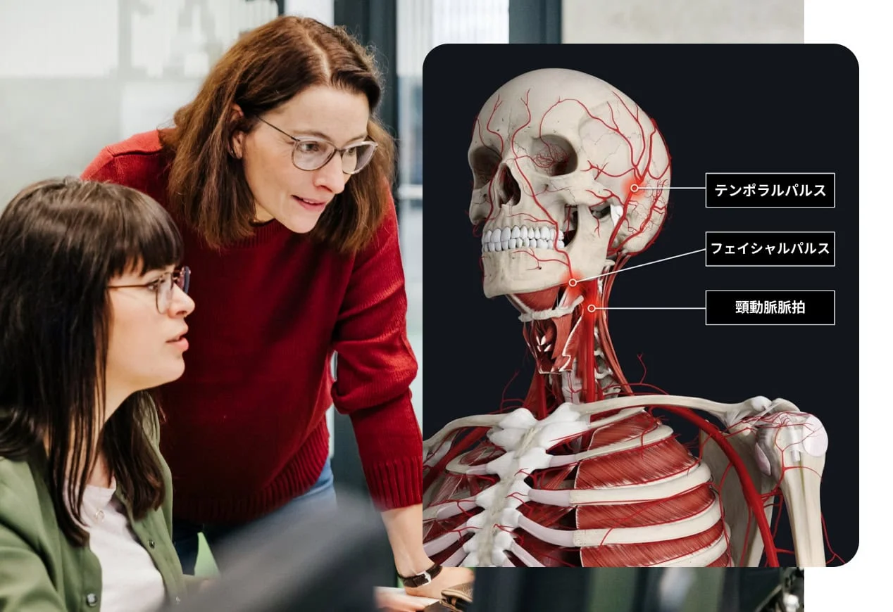 Medical Faculty Student looking at screen skeleton