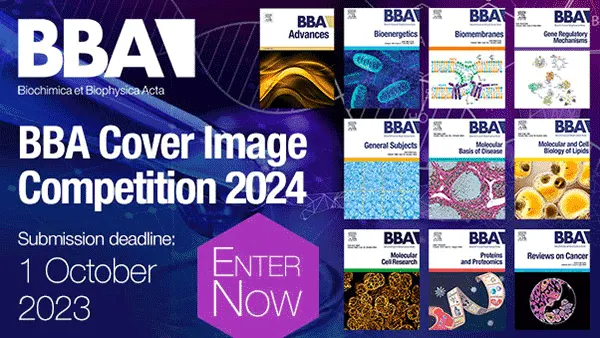2024 BBA Cover Image Competition