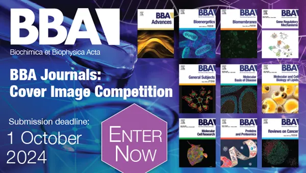 2024 BBA Cover Image Competition