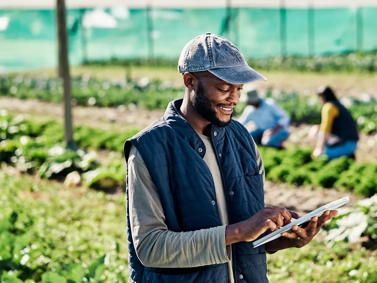 Man at a farm