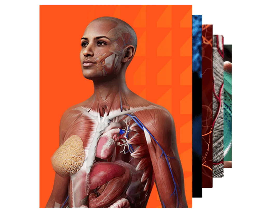 Complete Anatomy - Human Anatomy