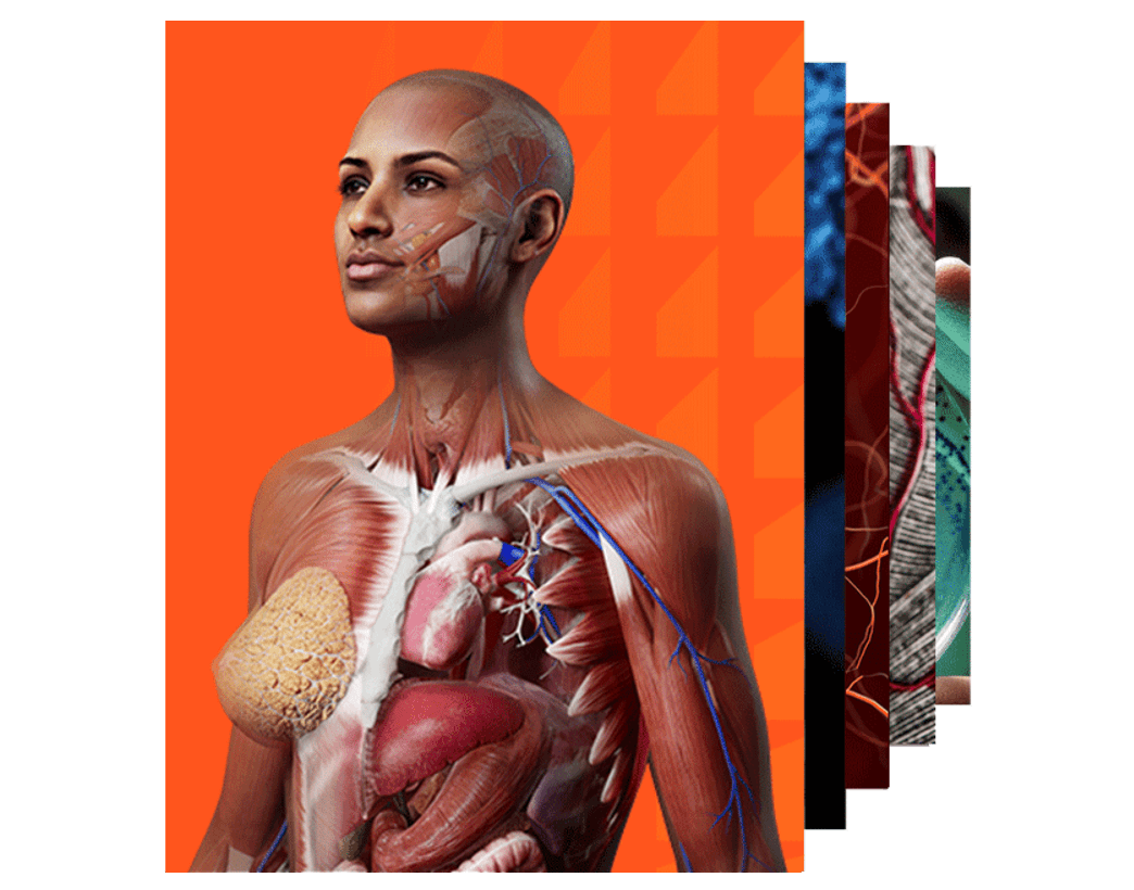 Human Anatomy 解剖学講義　改訂3版 解剖学講義 改訂第3版 中古本・書籍 | ブックオフ公式オンライン