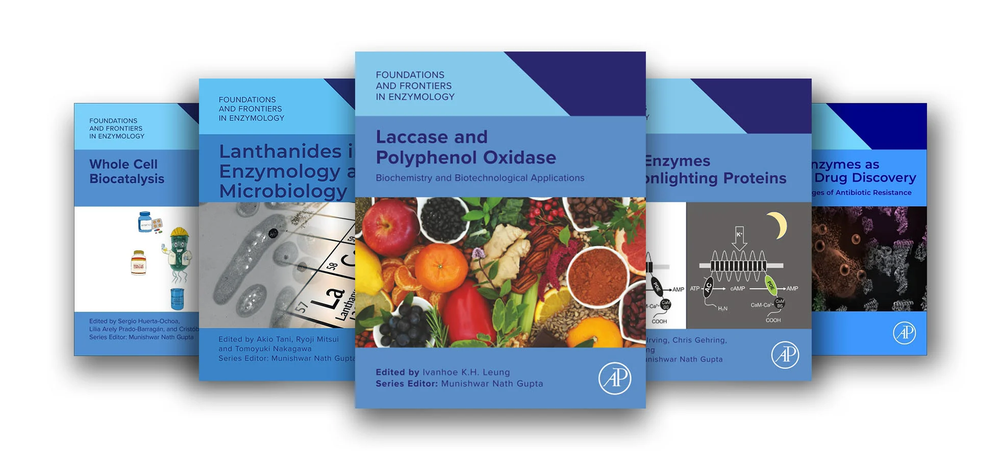 Foundations and Frontiers in Enzymology volume banner