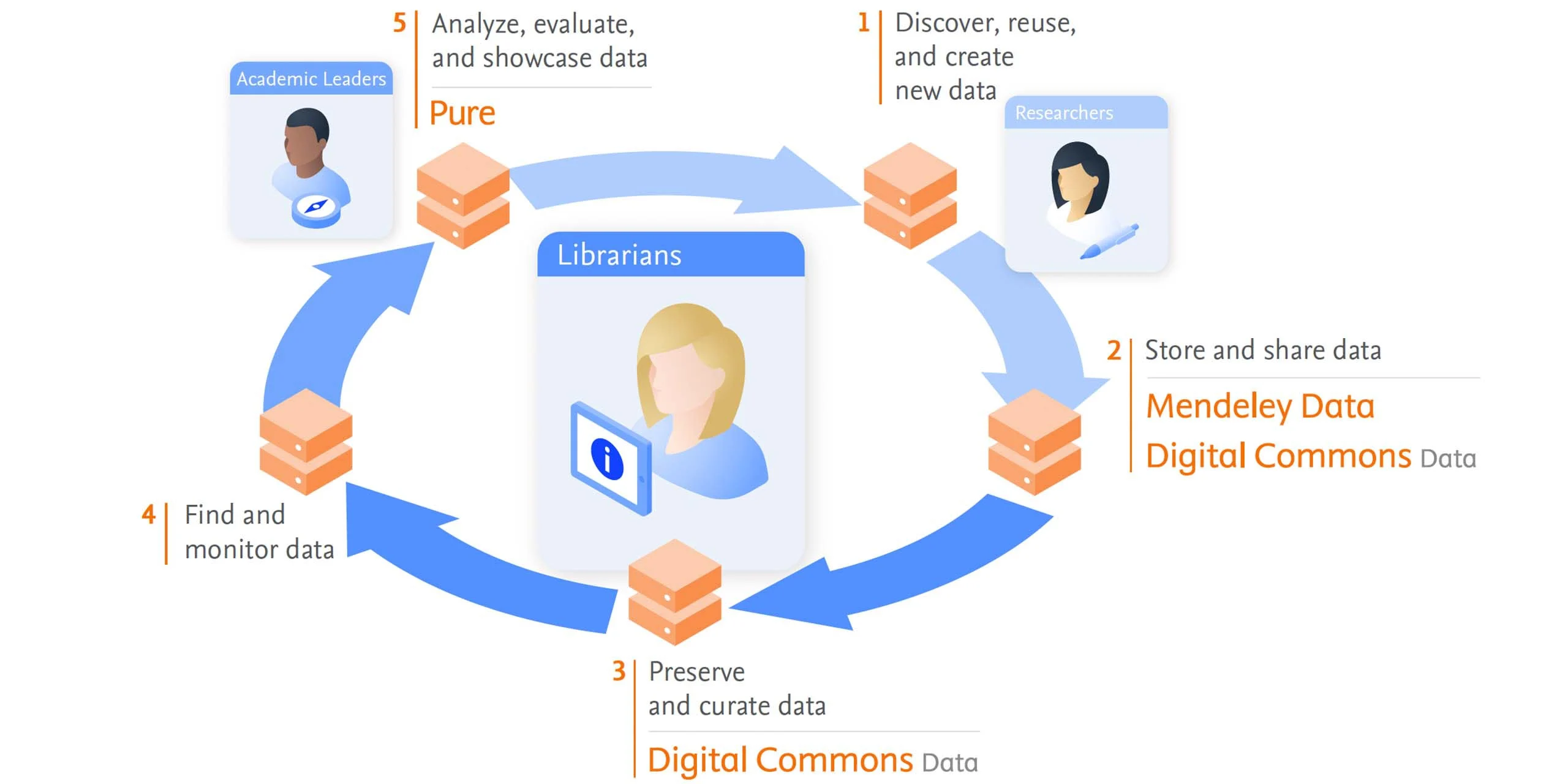 Research data management lifecycle