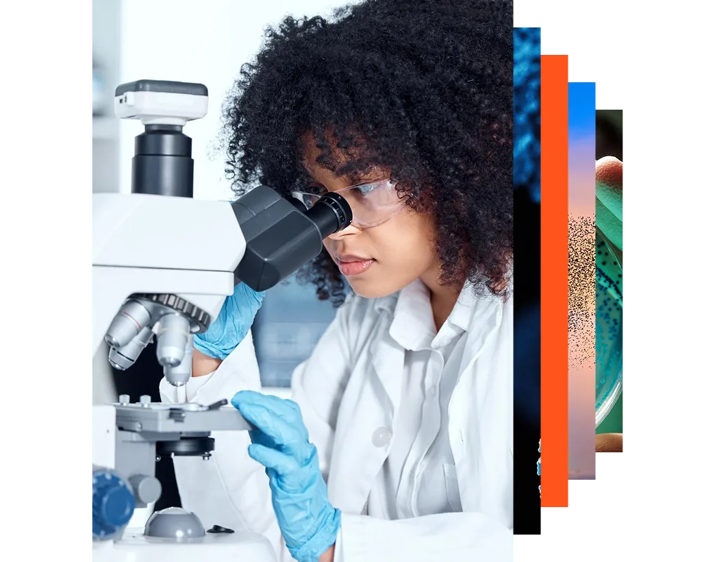 Mixed race female scientist wearing goggles and gloves conducting research