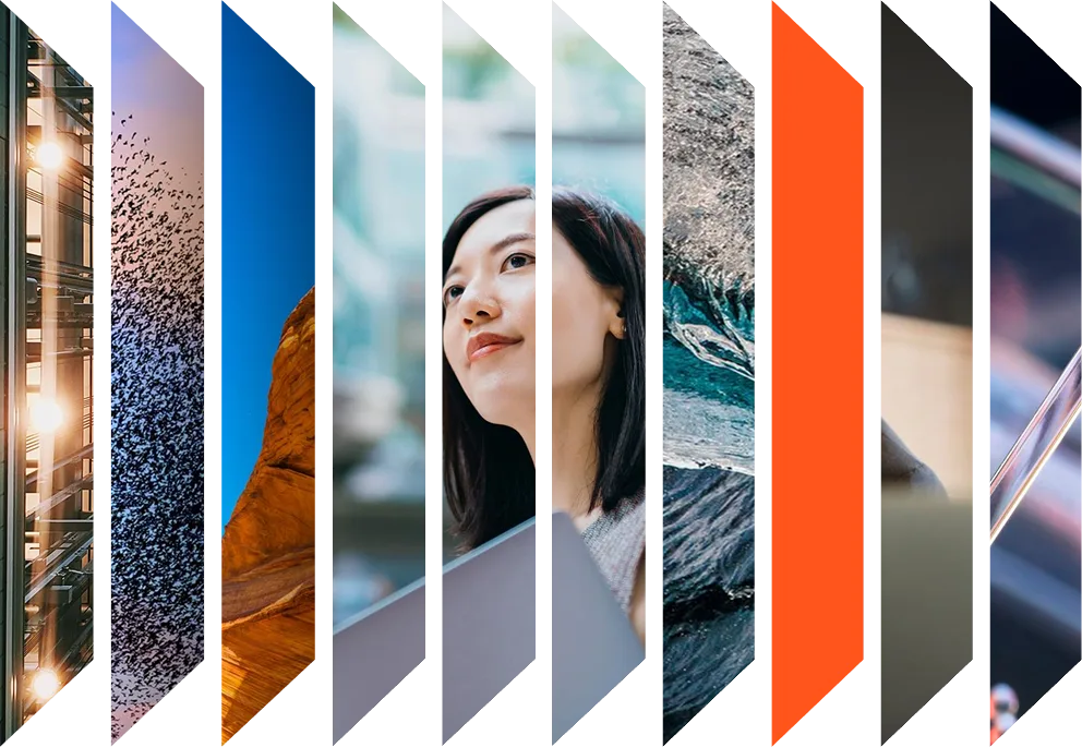 Colourful accordion of various images